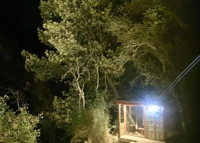 Acogedora Cabana En El Bosque, Via La Calera