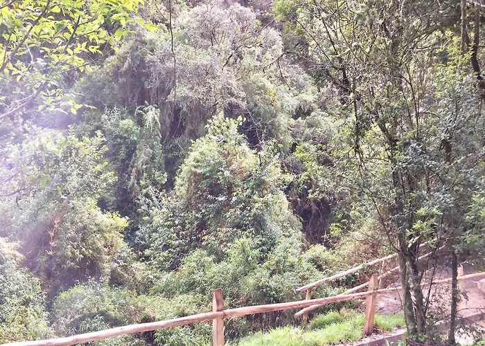 Acogedora Cabana En El Bosque, Via La Calera