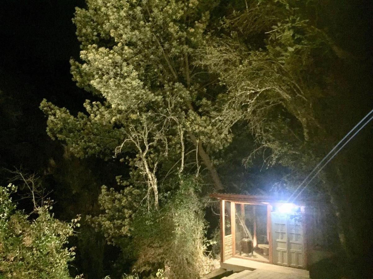 Acogedora En El Bosque, Via *